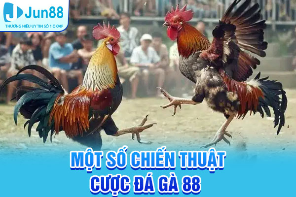 Một số chiến thuật cược Đá gà 88 hiệu quả