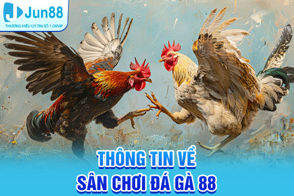 Giới thiệu thông tin về sân chơi Đá gà 88