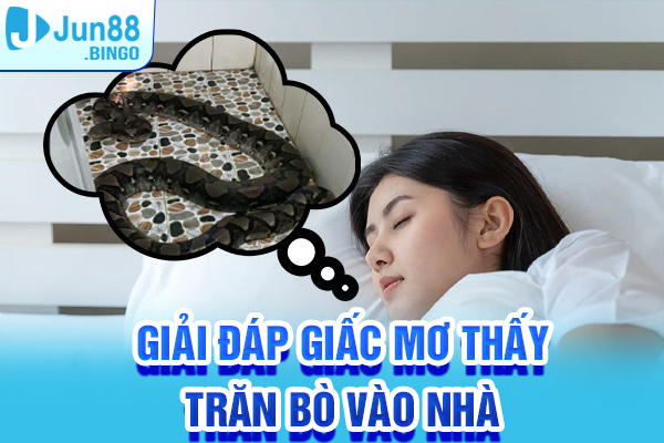 Giải đáp chi tiết giấc mơ thấy trăn bò vào nhà