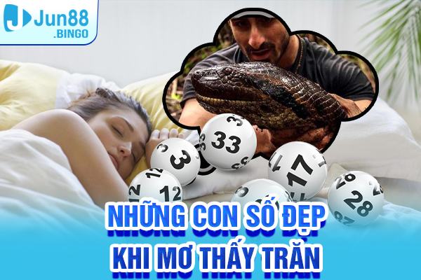 Những con số đẹp nên bỏ túi khi mơ về trăn